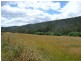 Lot 1 Wiggins Road, Wattle Hill TAS 7172
