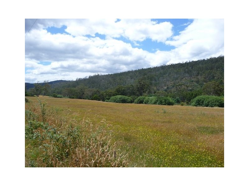 Lot 1 Wiggins Road, Wattle Hill TAS 7172