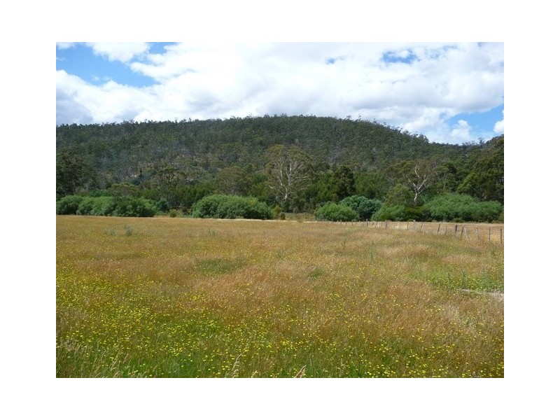 Lot 1 Wiggins Road, Wattle Hill TAS 7172