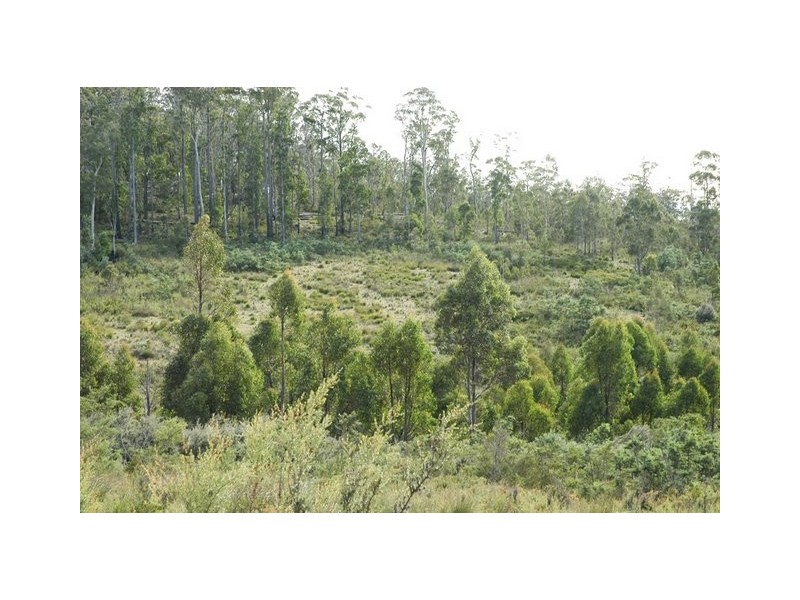 301 Phipps Road, Runnymede TAS 7190