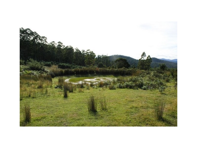 301 Phipps Road, Runnymede TAS 7190