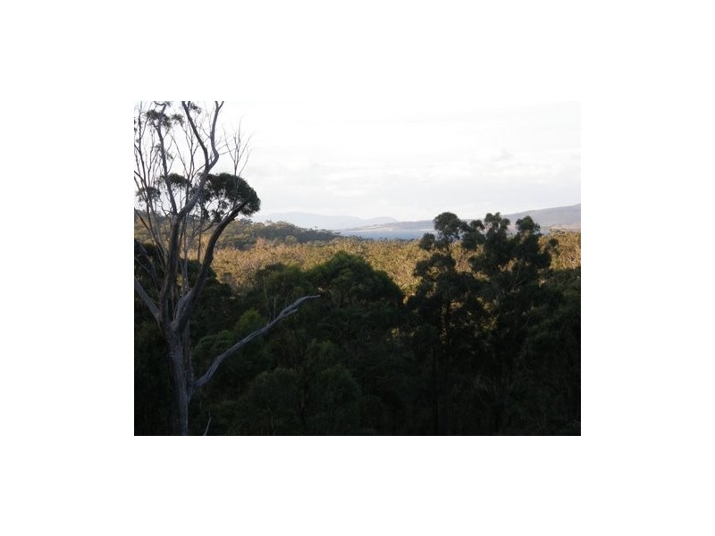 Lot 1 Gwandalan Road, Saltwater River TAS 7186