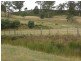 Lot 5264 Woodsdale Road, Levendale TAS 7120