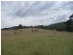 Lot 1 Nugent Road, Wattle Hill TAS 7172