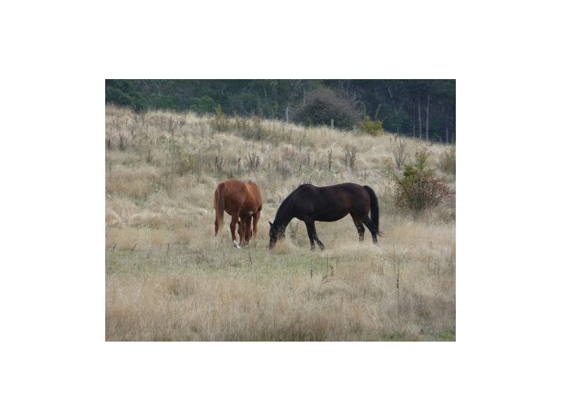 Lot 1 Nugent Road, Wattle Hill TAS 7172