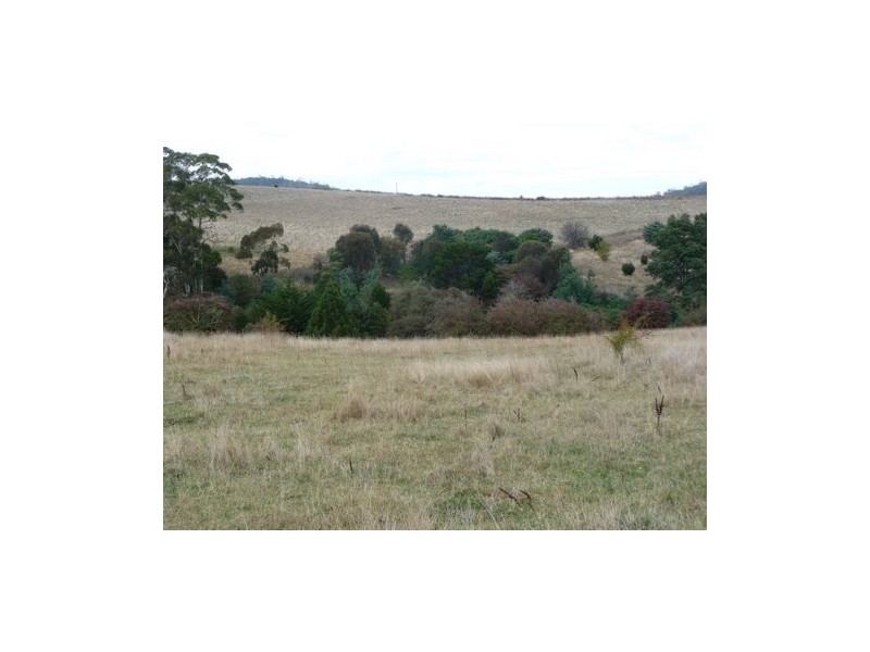 Lot 1 Nugent Road, Wattle Hill TAS 7172