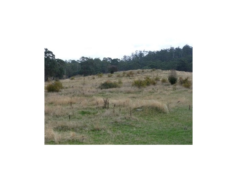 Lot 1 Nugent Road, Wattle Hill TAS 7172