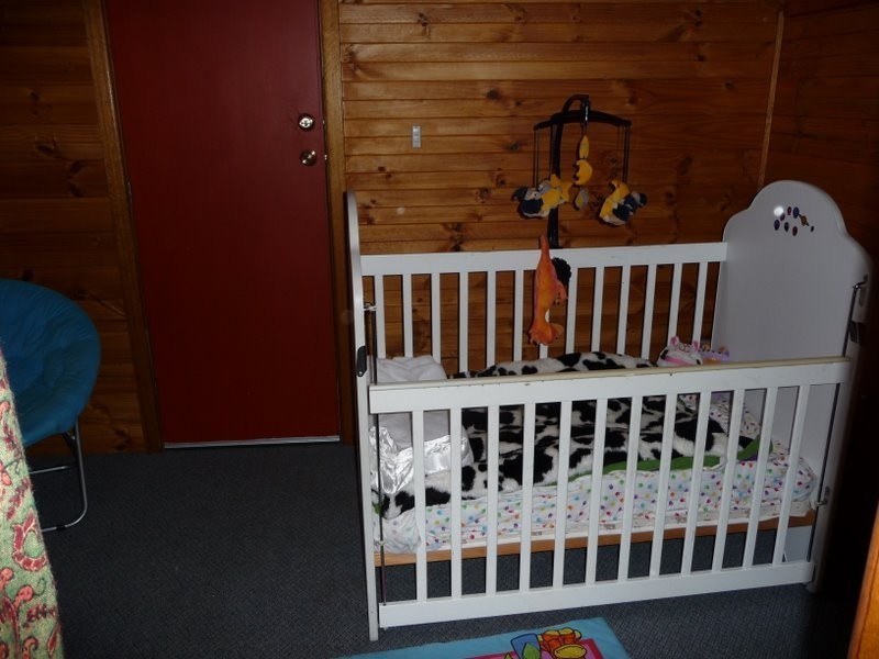 17 Meethenar Street, Carlton TAS 7173