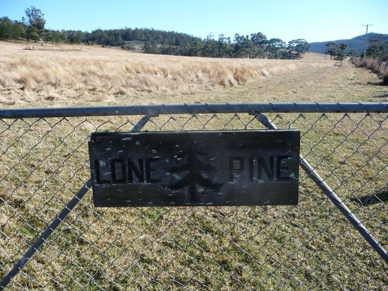 Lone Pine Wiggins Road, Wattle Hill TAS 7172