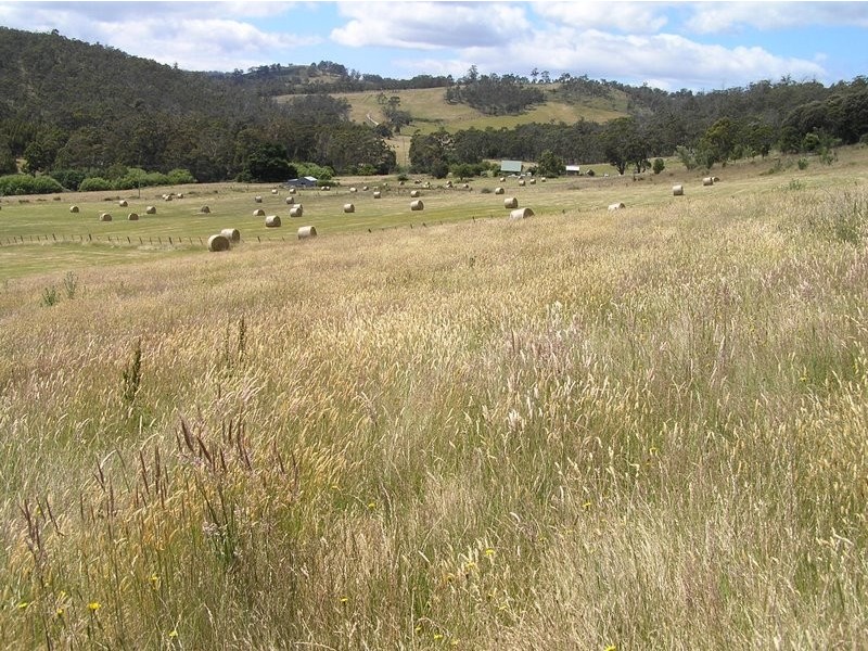 Lone Pine Wiggins Road, Wattle Hill TAS 7172
