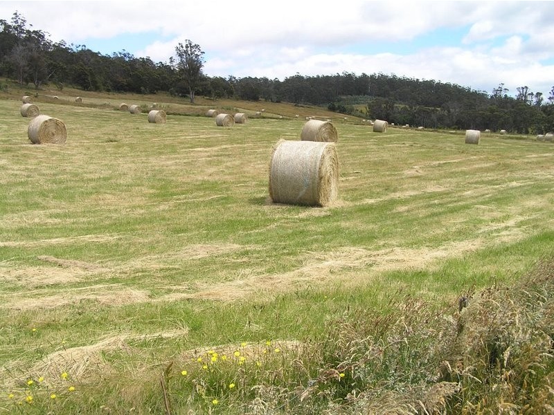 Lone Pine Wiggins Road, Wattle Hill TAS 7172