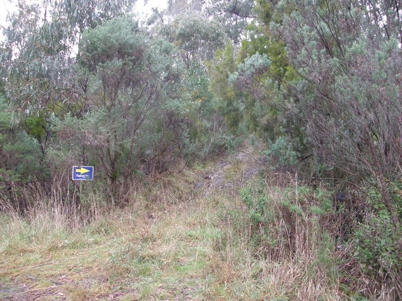 Lot 3 White Beach Road, White Beach TAS 7184