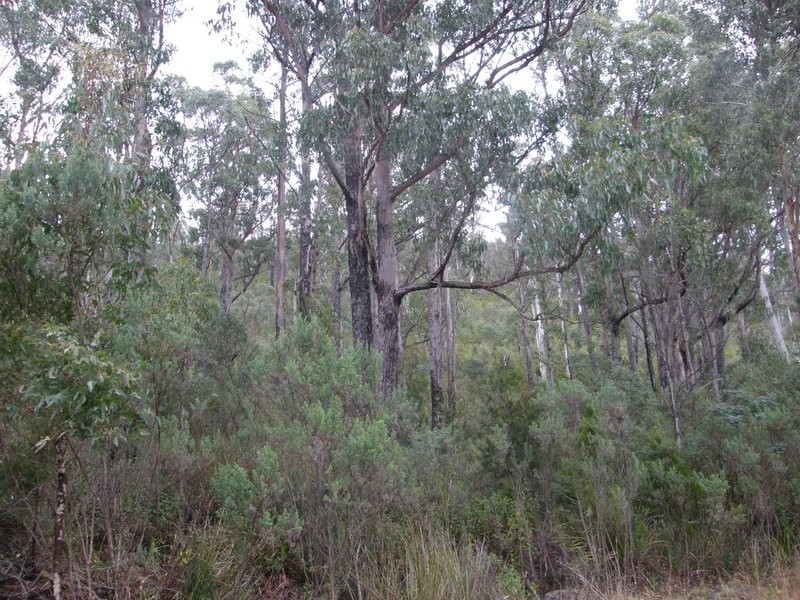 Lot 3 White Beach Road, White Beach TAS 7184