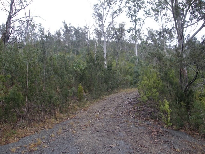 Lot 3 White Beach Road, White Beach TAS 7184