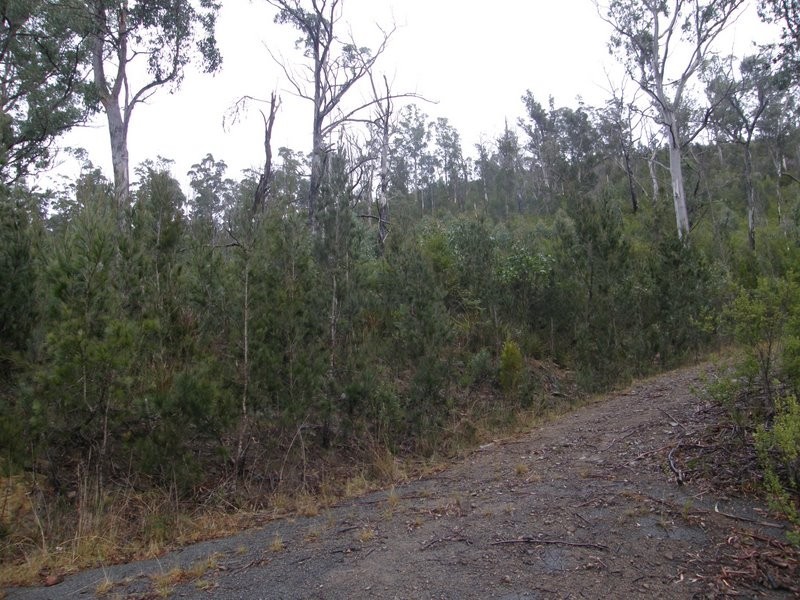 Lot 3 White Beach Road, White Beach TAS 7184