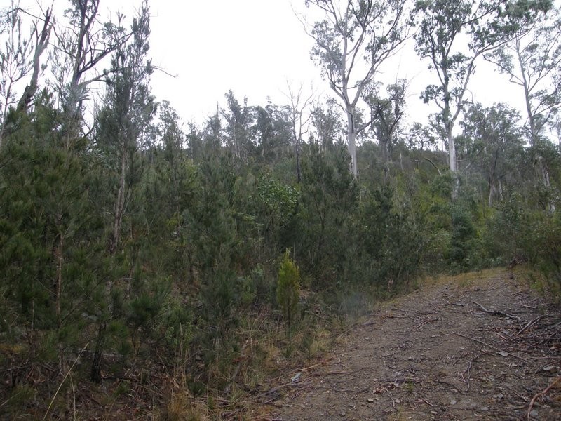 Lot 3 White Beach Road, White Beach TAS 7184