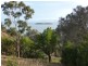 75 Grevillea Street, Primrose Sands TAS 7173