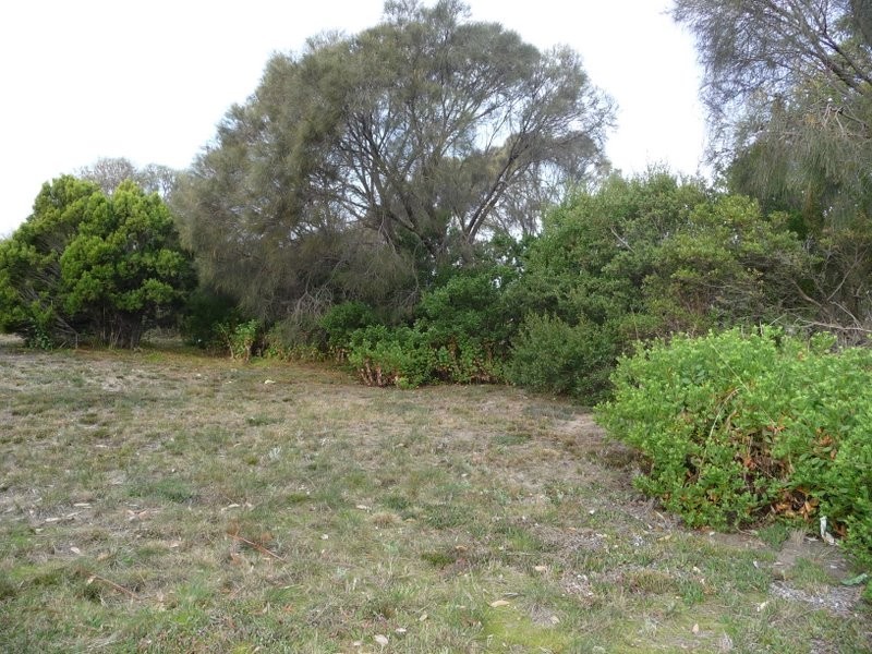 75 Grevillea Street, Primrose Sands TAS 7173