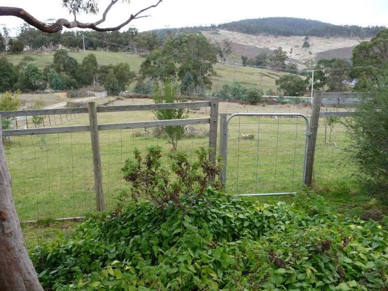 2495 Arthur Highway, Copping TAS 7174
