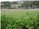 2495 Arthur Highway, Copping TAS 7174