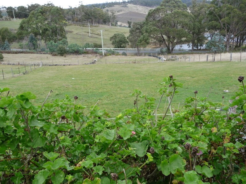 2495 Arthur Highway, Copping TAS 7174