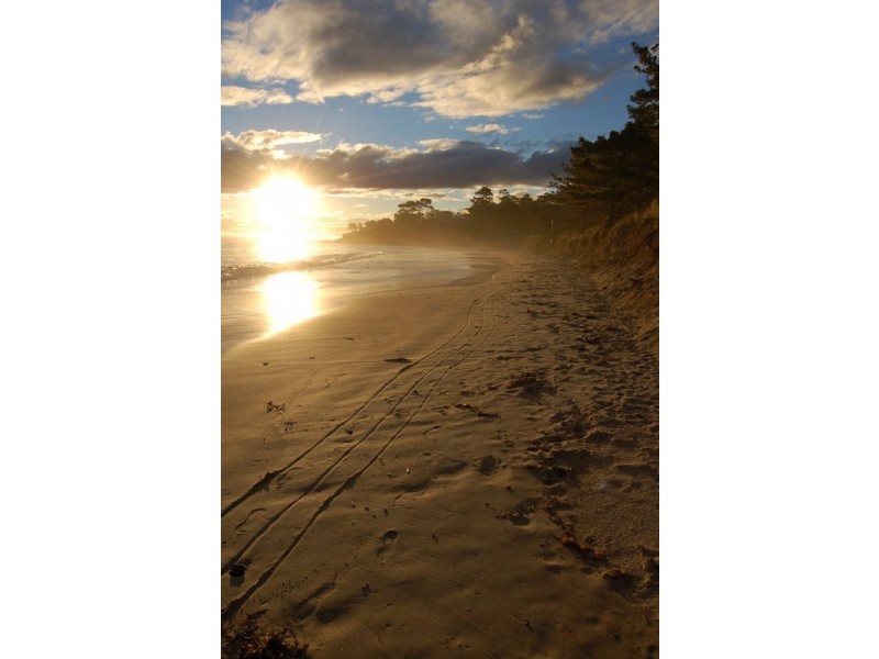 21 North Street, Dodges Ferry TAS 7173