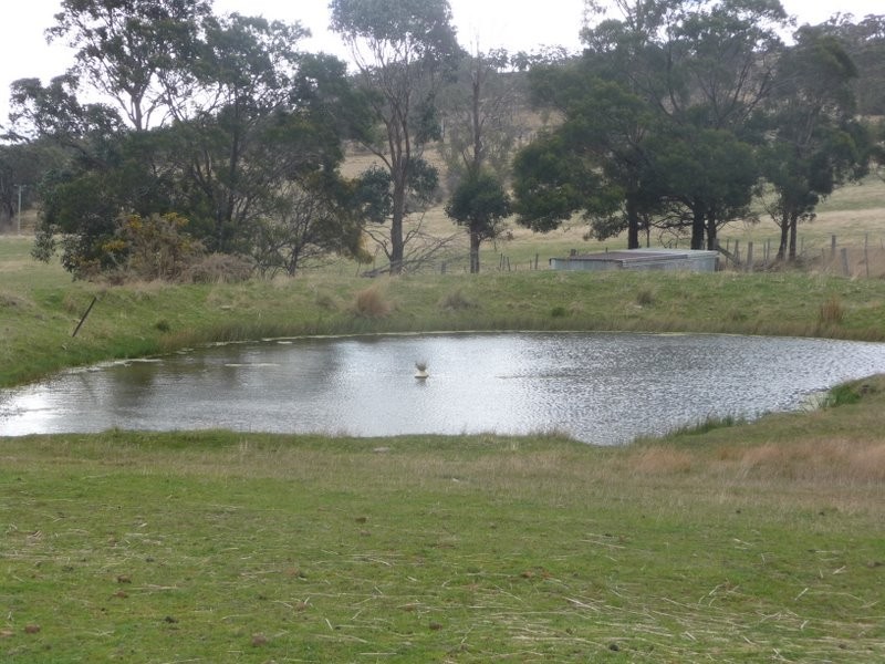 318 White Kangaroo Road, Campania TAS 7026