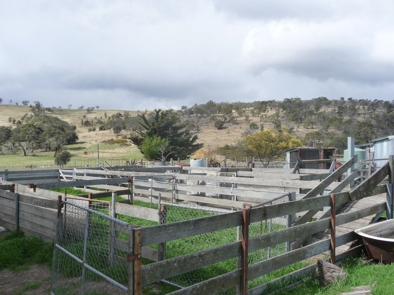 318 White Kangaroo Road, Campania TAS 7026