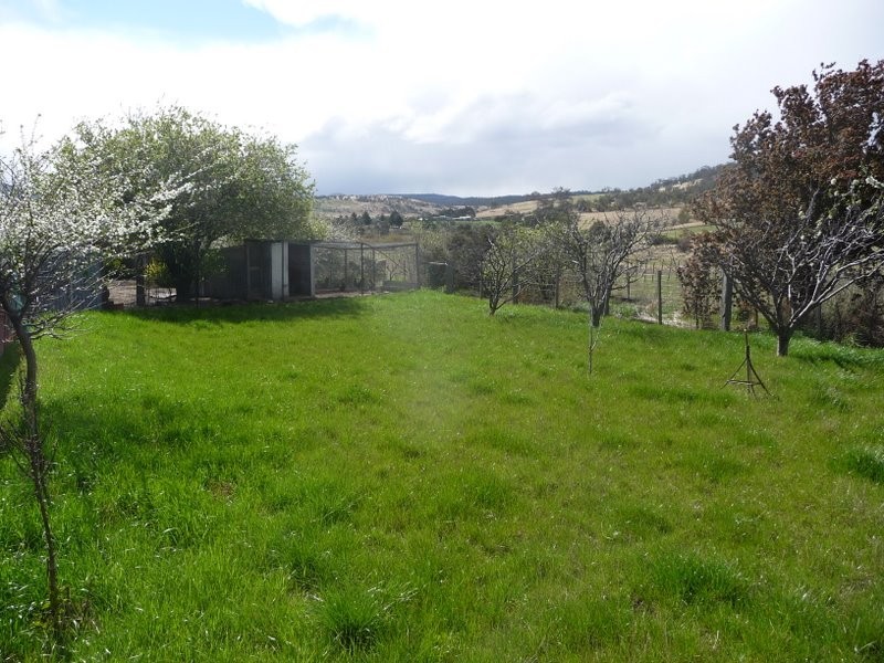 318 White Kangaroo Road, Campania TAS 7026