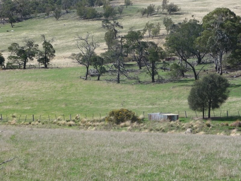 318 White Kangaroo Road, Campania TAS 7026