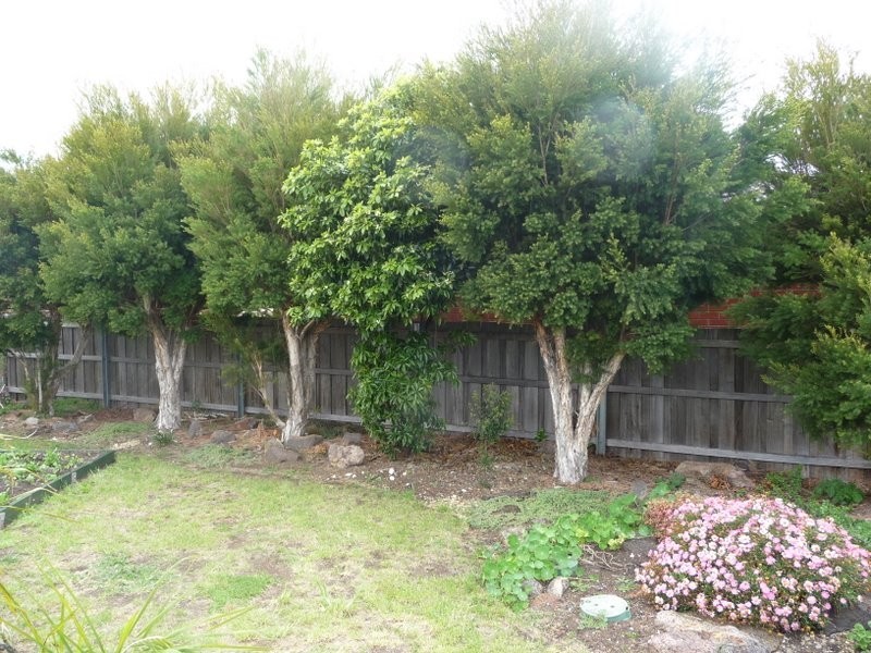 8 Billett Court, Sorell TAS 7172