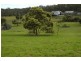 20 Mathews Road, Forcett TAS 7173