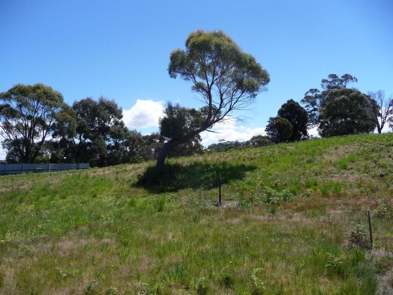 Lot 8, 7 Clover Court, Carlton TAS 7173