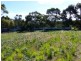 Lot 8, 7 Clover Court, Carlton TAS 7173