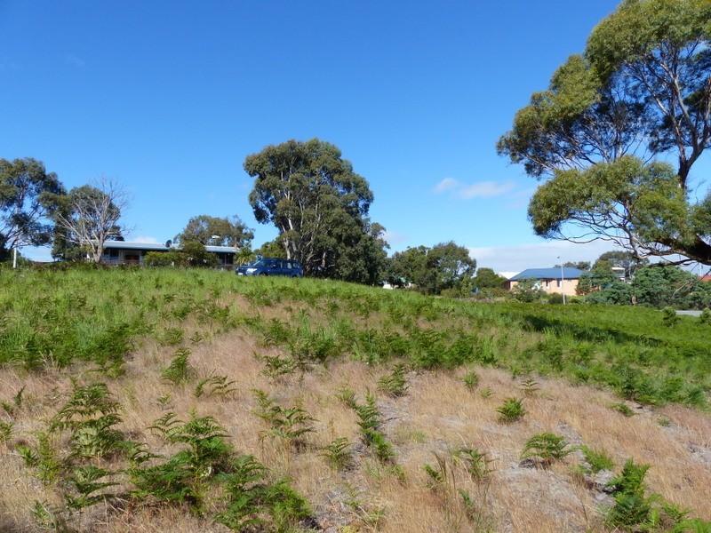 Lot 8, 7 Clover Court, Carlton TAS 7173