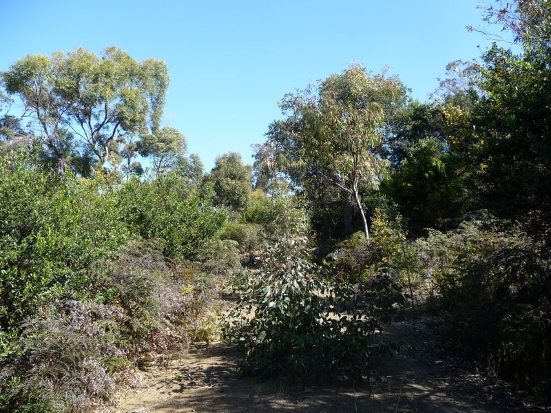 17 Chronicle Point Rd, Murdunna TAS 7178