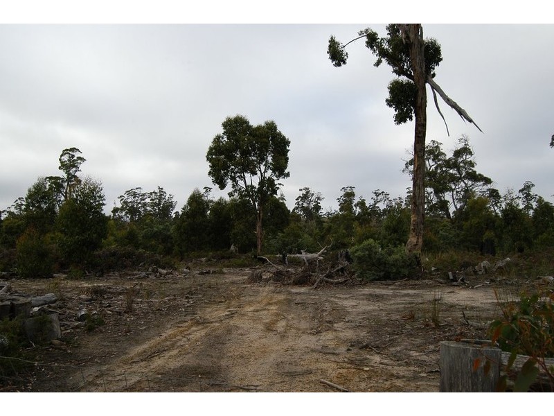 0 Levendale Back Road, Levendale TAS 7120