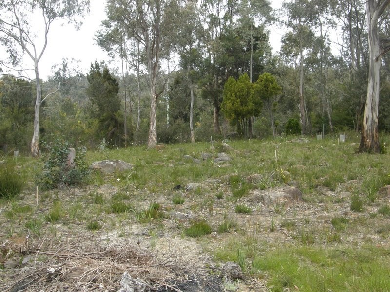 Lot 2 Mason Point Road, Eaglehawk Neck TAS 7179