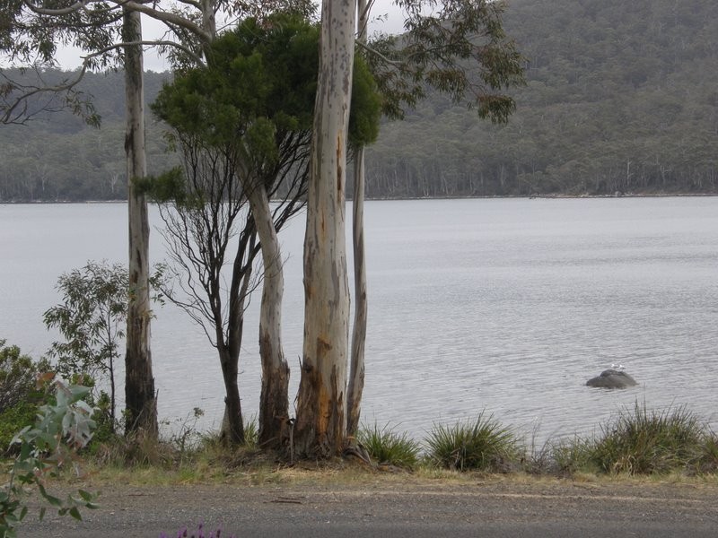 Lot 2 Mason Point Road, Eaglehawk Neck TAS 7179