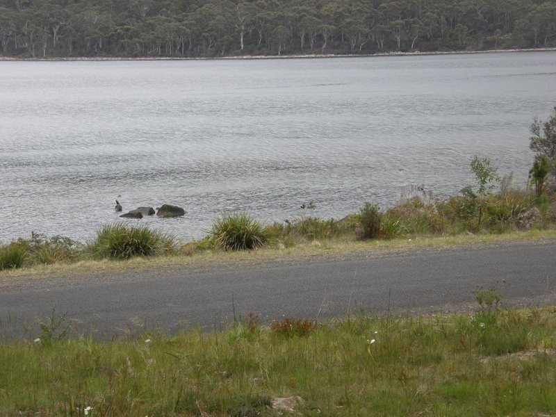 Lot 2 Mason Point Road, Eaglehawk Neck TAS 7179