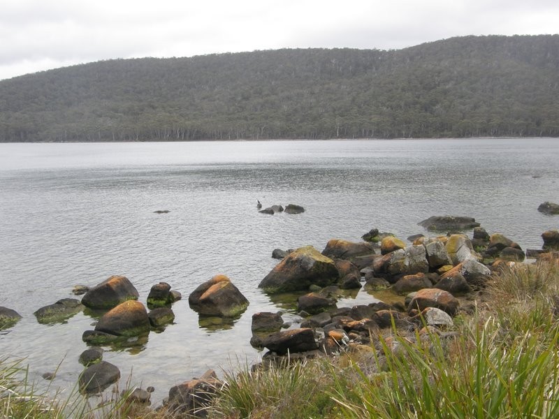 Lot 2 Mason Point Road, Eaglehawk Neck TAS 7179