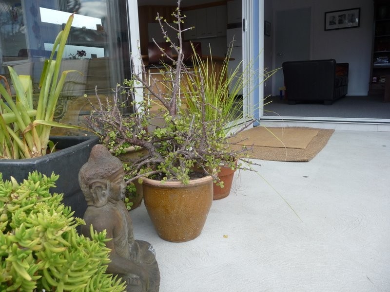 210 Carlton Beach Road, Dodges Ferry TAS 7173