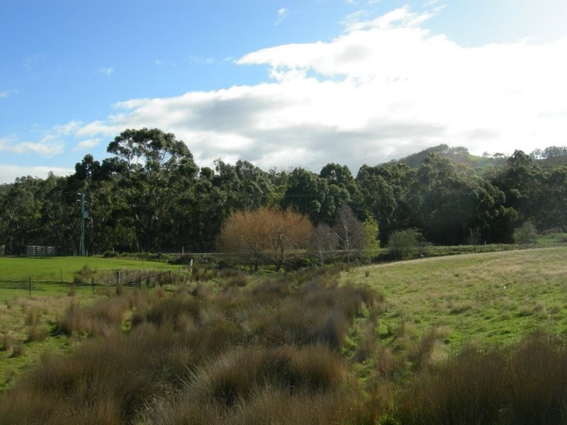 2124 Arthur Highway, Copping TAS 7174