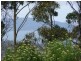Lot 4 Wielangta Road, Kellevie TAS 7176