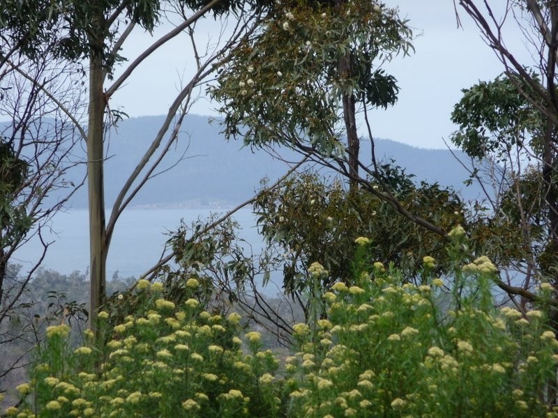 Lot 4 Wielangta Road, Kellevie TAS 7176