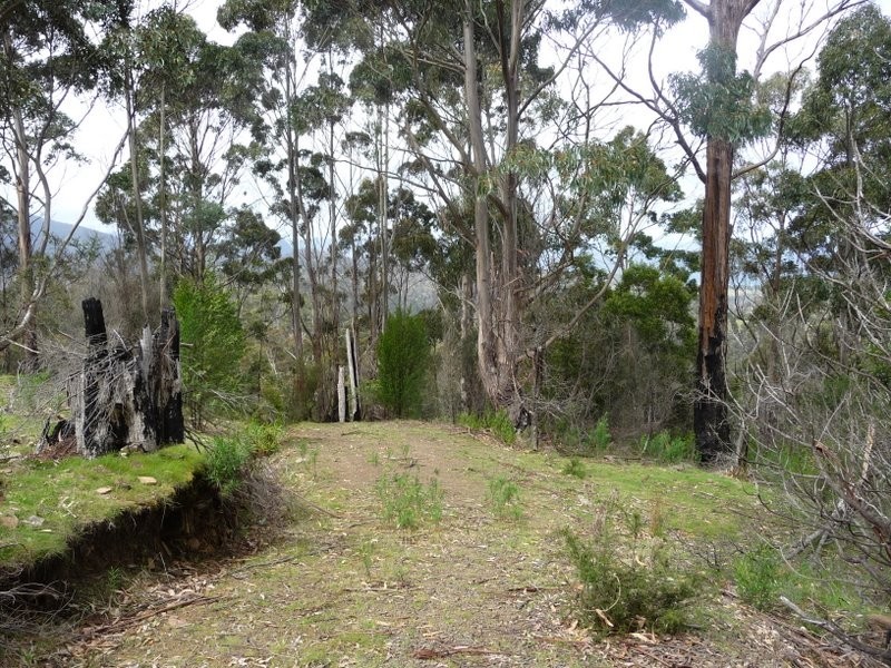 Lot 4 Wielangta Road, Kellevie TAS 7176