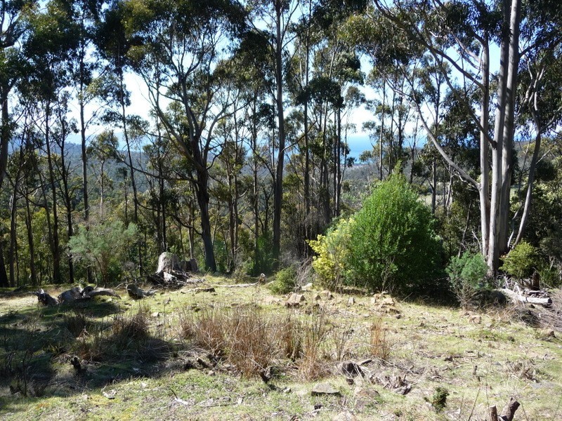 Lot 4 Wielangta Road, Kellevie TAS 7176