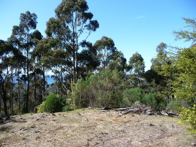 Lot 4 Wielangta Road, Kellevie TAS 7176