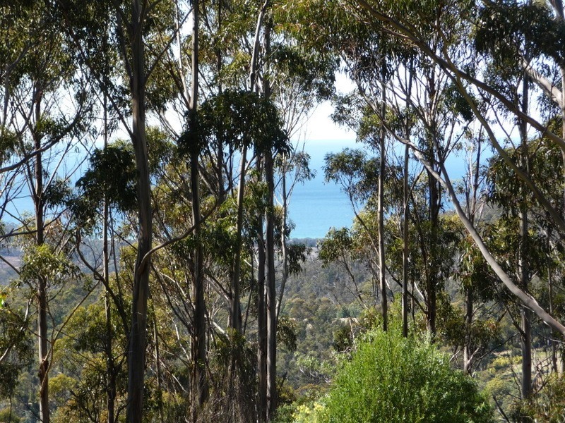 Lot 4 Wielangta Road, Kellevie TAS 7176