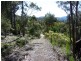 Lot 4 Wielangta Road, Kellevie TAS 7176